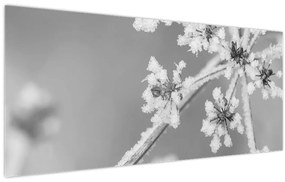 Kép - Fagyasztott növény (120x50 cm)