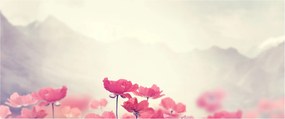 Kép - Pipacsok (120x50 cm)
