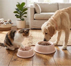 Agyagkerámia tálka kisállatoknak ø 16 cm – Casafina