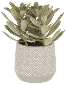 Suculent műnövény (magasság 23 cm) Kalanchoe Tomentosa – Kave Home