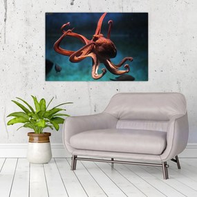 Kép - Octopus (90x60 cm)