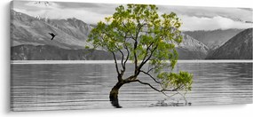 Fa képe a tó közepén (120x50 cm)