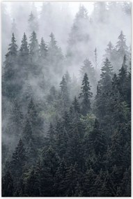 Poszterek 60x90 Ködös hegyi táj