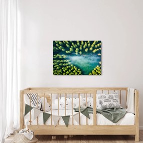 Kép - Egy ködbe burkolt erdő (70x50 cm)