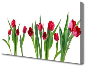 Vászonkép Tulipán virágok Plant 140x70 cm