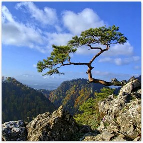 Fotótapéták 208x208 Tájképek Kilátások Tájképek