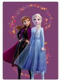 Disney Jégvarázs Wind polár takaró 100x140cm