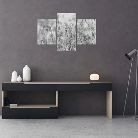 Kép - Hideg tél (90x60 cm)