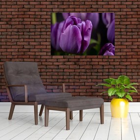 Tulipán vírág képe (90x60 cm)