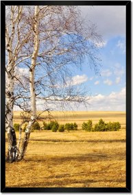 Poszterek keretben 40x60 Nyírfa a mezőn Tájkép