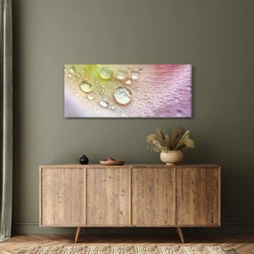 Kép - Harmatcseppek (120x50 cm)