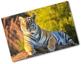 Üveg vágódeszka Portré egy tigris pl-ko-80x52-f-65114965