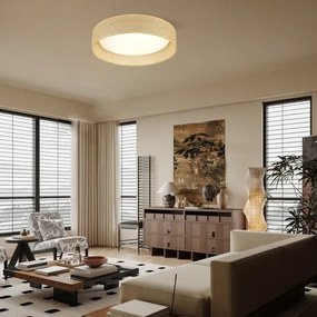 Immax NEO 07289L - LED+CCT fényerőszabályozható mennyezeti lámpatest LONA 36W/230V átm. 45,5 cm + távirányító