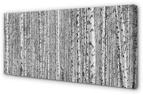 Canvas képek Fekete-fehér fa erdő 100x50 cm