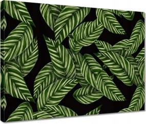 Vászonkép 40x30 Zöld levelek Trópusok