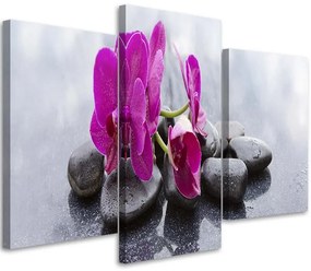 Gario Vászonkép Orchidea és fekete kövek - 3 részes Méret: 60 x 40 cm