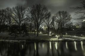 Poszter 60x40cm Central Park éjszaka 2, Assaf Frank