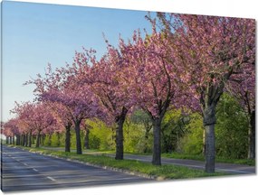 Festmények 120x80 Fa Fák Kilátás