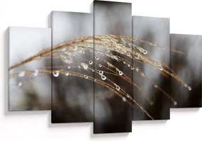 Cseppkép egy növényen (150x105 cm)