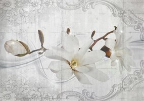 Fotótapéta Magnólia virágok vinil 254x184 tavaszi nyugodt motívum +ragasztó