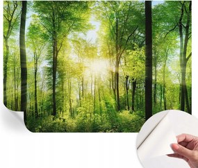 Fotótapéta Fali tapéta Hálószobába és Nappaliba Erdei harmónia 312x219 cm