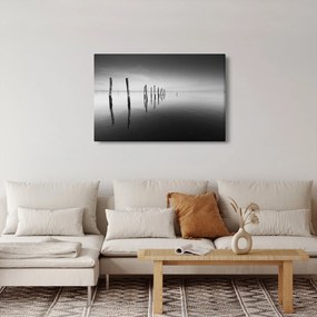 Egy fekete-fehér vízfelszín képe (90x60 cm)