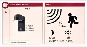 Paulmann 94453 - LED/6W IP44 Kültéri fali lámpa érzékelővel CAPEA 230V