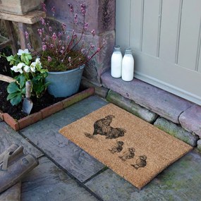 Kókuszrost lábtörlő 40x60 cm Chickens and Chicks – Artsy Doormats
