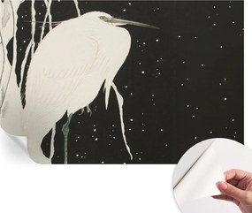 Fotótapéta Fali tapéta Hálószobába és Nappaliba Téli madár 104x70 cm