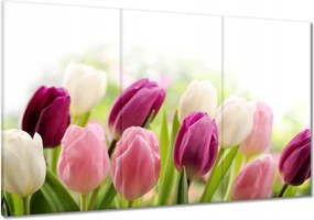 Vászonkép 120x80 Gyönyörű tulipánok