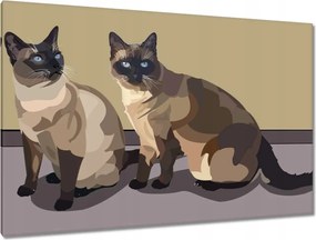 Képek 120x80 Cica Cicák Macskák