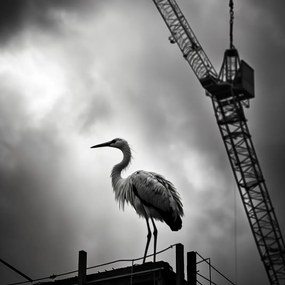 Poszter 20x20cm Magasan a horizont felett