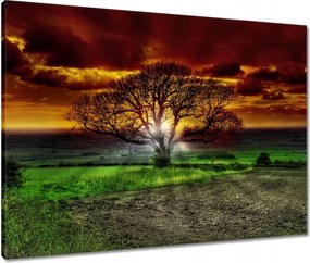 Vászonkép 80x60 Varázslatos fa tájkép