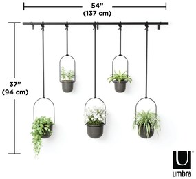 Műanyag kaspó szett 5 db-os fűszernövényekhez -függő ø 7,5 cm Triflora – Umbra