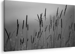 Kép - Fűszálak (90x60 cm)
