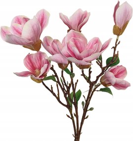 Magnólia csokor gumírozott krémrózsaszín csíkos (sp