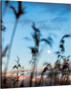 Vászonkép Természet Mező Rét Napfelkelte 80x100