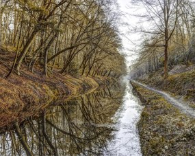 Poszter 76x60,5cm Csatorna az erdőben, Assaf Frank