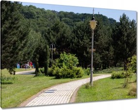 Vászonkép 100x70 Zöld park fákkal