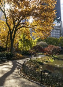 Poszter 20,5x28,4cm Ösvény a központi parkon át 5, Assaf Frank