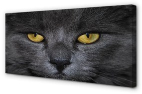 Canvas képek Fekete macska 100x50 cm