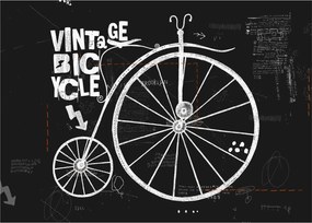 Kép - Velocipede (üvegen) (70x50 cm)