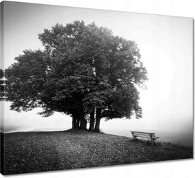 Vászonkép 50x40 Tájkép szürke Bw