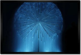 Poszterek keretben 60x40 Pitypang Virág Virágok