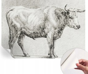 Öntapadós Dekoratív Fotótapéta Hálószobába Bika ceruza 208x146 cm