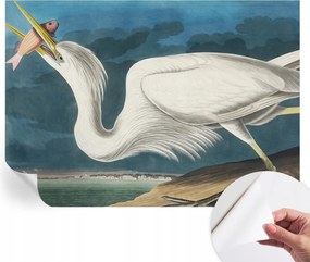 Öntapadós fotótapéta Nappaliba és Hálószobába Madár és hal 208x146 cm