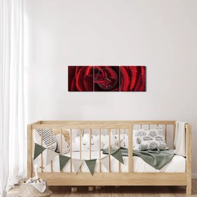 Kép - Vörös rózsa harmatcseppekkel (órával) (90x30 cm)