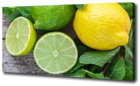 Feszített vászonkép Lime és citrom oc-81072206