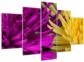 Kép - virág részlet (150x105 cm)