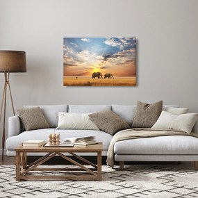 Kép - Elefántok a szavannán (90x60 cm)